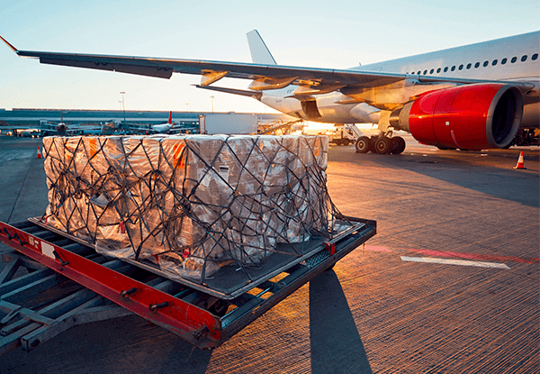 LeeS Transport || Uluslararası Taşımacılık