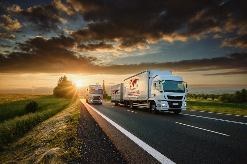 LeeS Transport || Uluslararası Taşımacılık